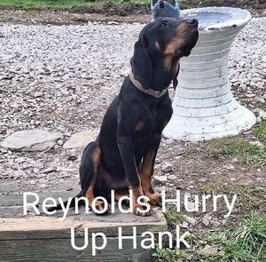 Meet your Posher, Pete